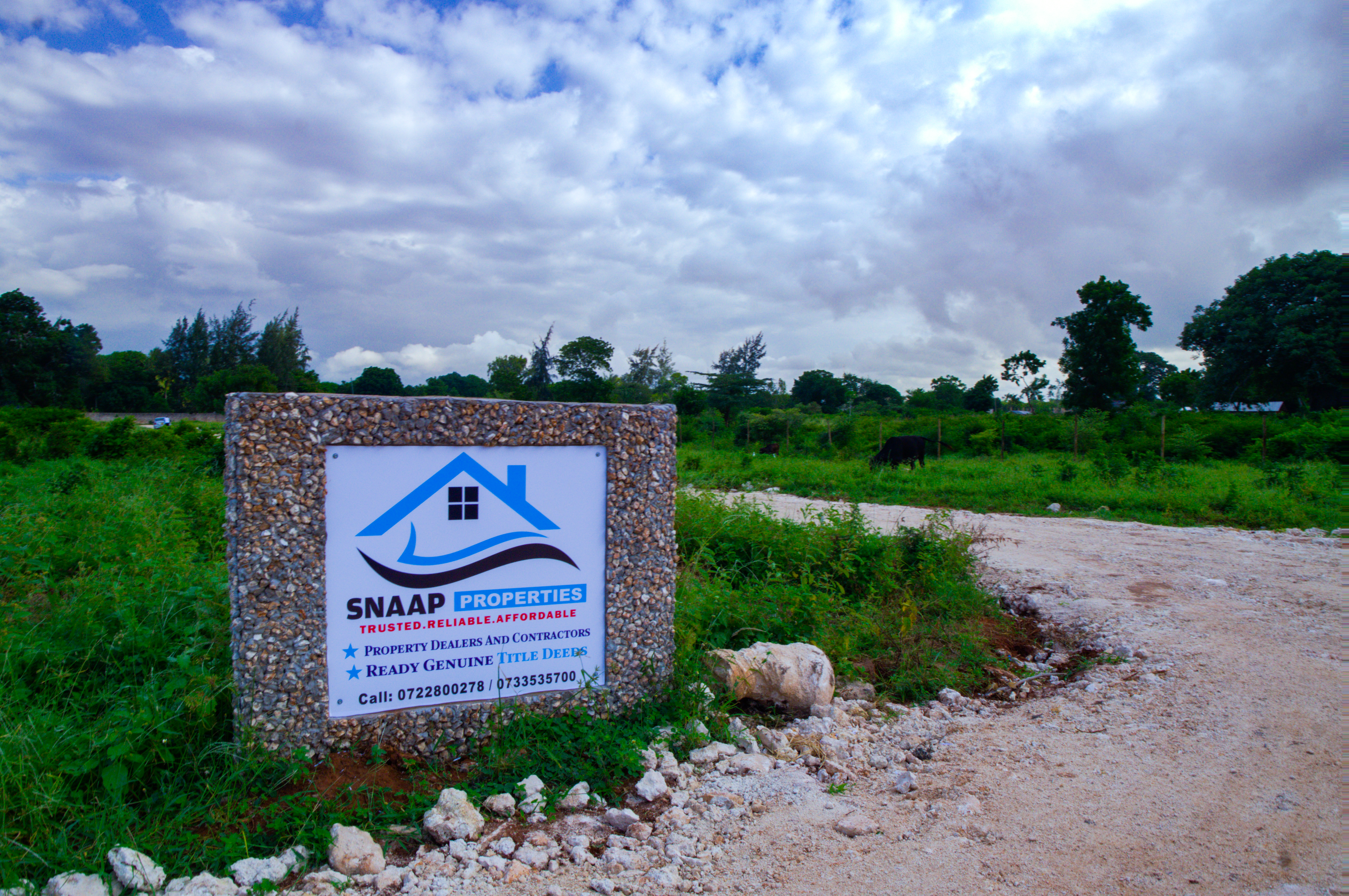 Kilifi Mtondia
